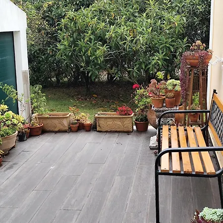 Casa Da Nogueira Tatil Evi Alvorninha