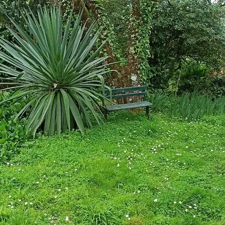 Tatil Evi Casa Da Nogueira *