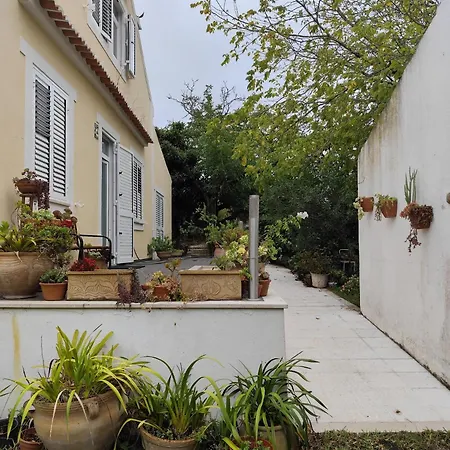 Tatil Evi Casa Da Nogueira Alvorninha