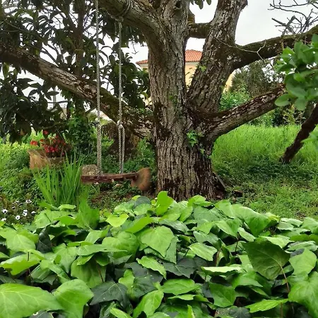 Casa Da Nogueira Tatil Evi