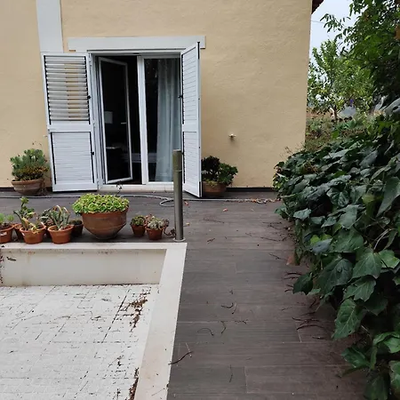 Casa Da Nogueira * Alvorninha