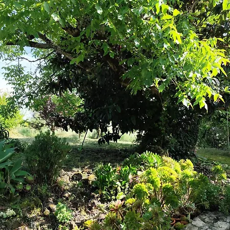 Casa Da Nogueira Сasa de vacaciones Alvorninha