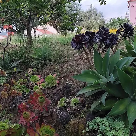 Сasa de vacaciones Casa Da Nogueira *