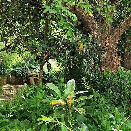 Casa Da Nogueira *