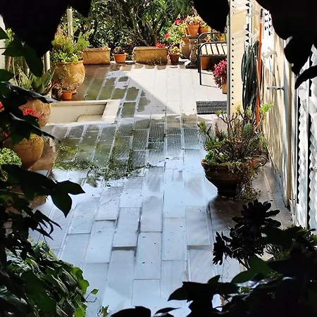 Casa Da Nogueira * Alvorninha