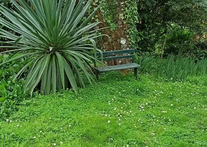 Holiday home Casa Da Nogueira *