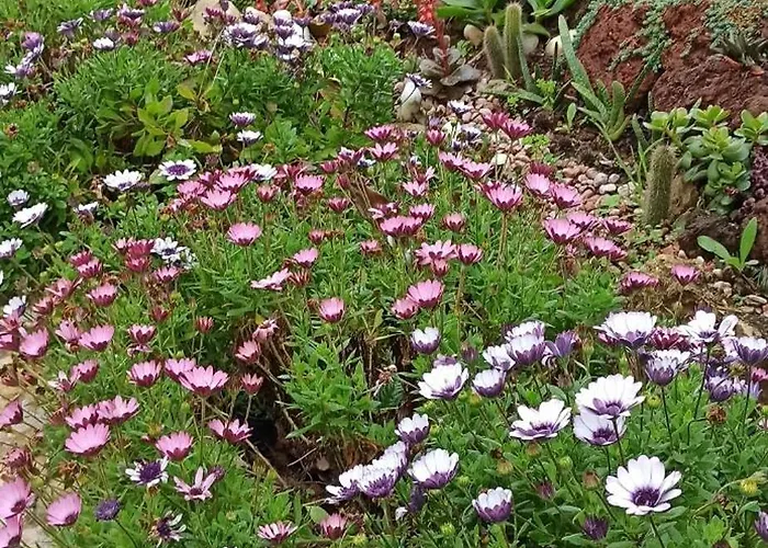 Casa Da Nogueira Alvorninha