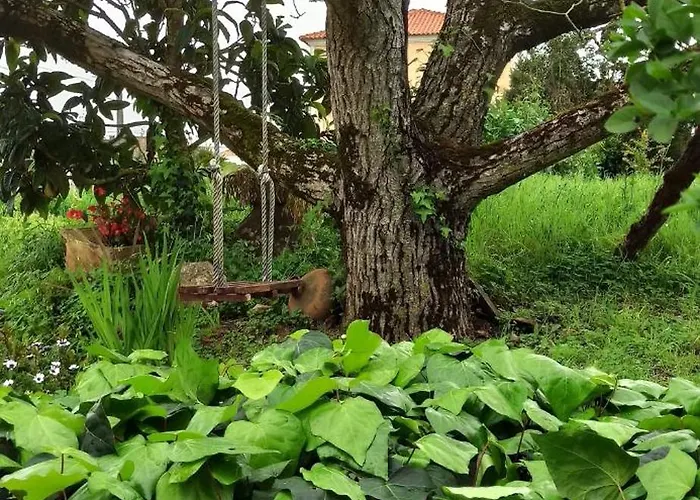 Casa Da Nogueira Holiday home