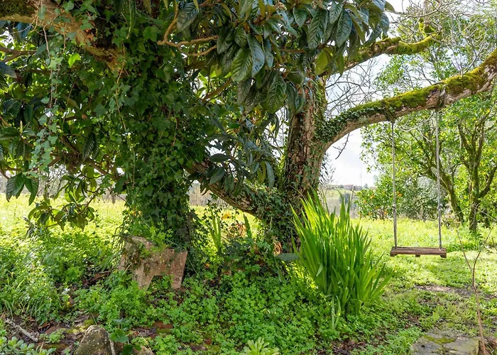 Casa Da Nogueira Holiday home